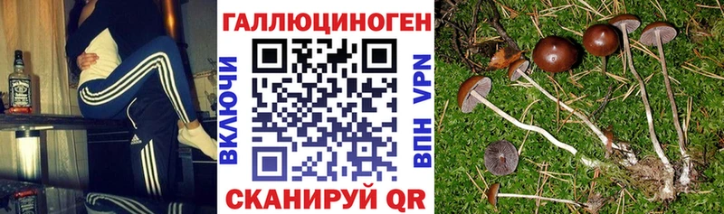даркнет сайт  Красково  Псилоцибиновые грибы GOLDEN TEACHER 